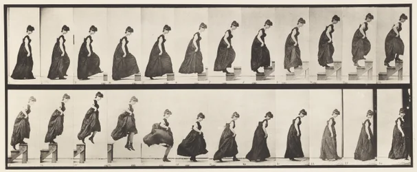 Planche 173. Montée des marches et sautant, 1885