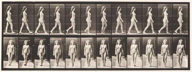 Planche 17. Marcher, 1872-1885