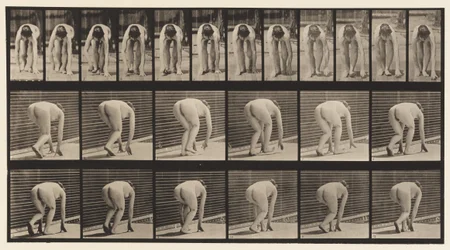 Planche 184. Marcher sur les mains et les pieds