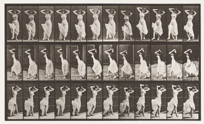 Planche 190. Danse (Nautch)