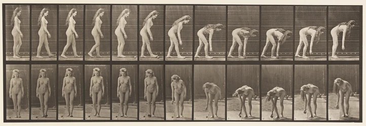 Planche 204. S
