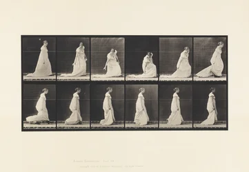 Planche 207. Courbure et levage du train, 1885