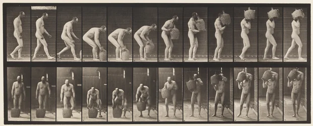 Planche 218. Se pencher et soulever une bonbonne pleine à l