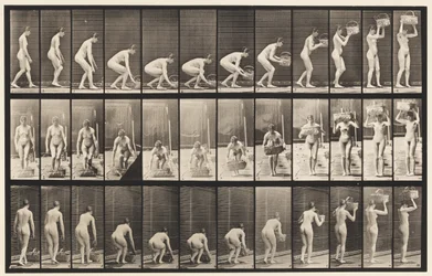 Planche 221. Se pencher et soulever un panier de 12 lb à la tête