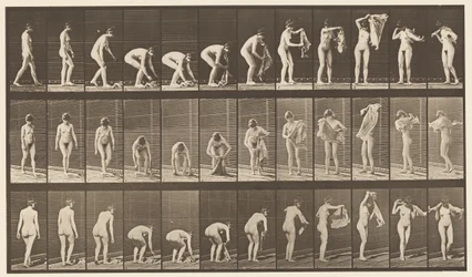 Planche 227. Soulevant un tissu du sol, 1872-1885
