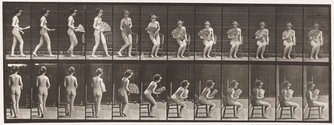 Planche 237. S