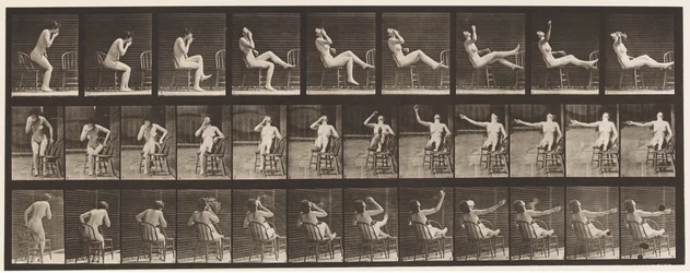 Planche 247. S