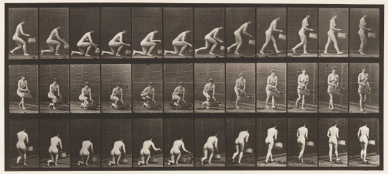 Planche 251. S