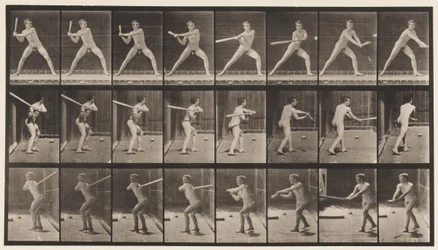 Planche 276. Base-ball; Batte