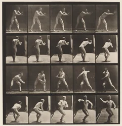 Planche 282. Base-ball; Attraper et lancer, 1885