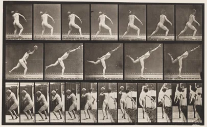 Planche 316. Soulever une pierre de 20 lb, 1885