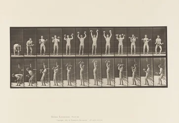 Planche 322. Homme Soulevant des Haltères