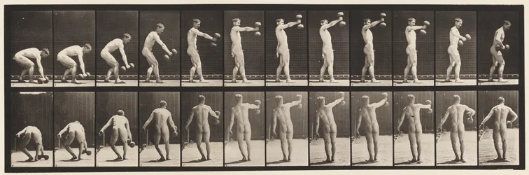 Planche 326. Soulever un haltère de 50 lb à bout de bras