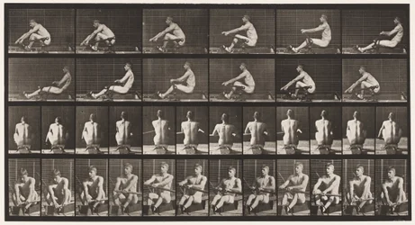 Planche 327. Aviron