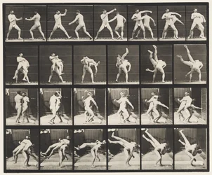 Planche 332. Boxe; Cross-Buttocks (chaussures)