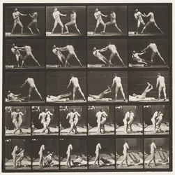 Planche 333. Boxe; 53 frappant 52 à terre (Chaussures)