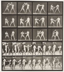 Planche 334. Boxe; avec gants (chaussures)