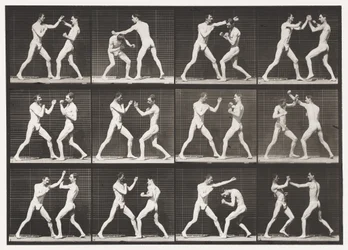 Planche 336. Boxe; Main ouverte (chaussures)