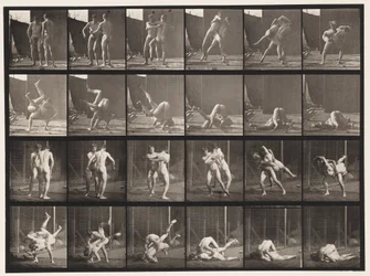 Planche 348. Lutte gréco-romaine, 1885