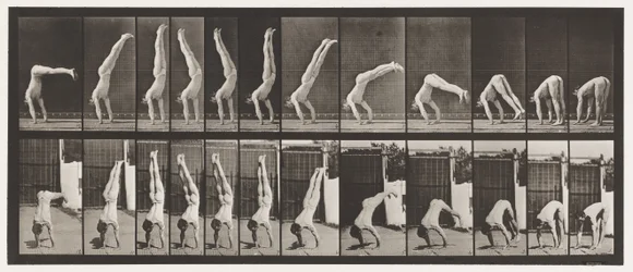 Acrobate, pression verticale