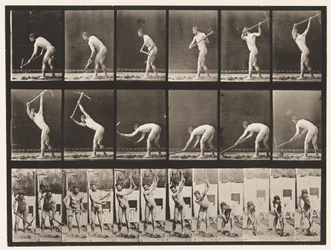 Planche 385. Fermier, utilisant une pioche, 1872-1885