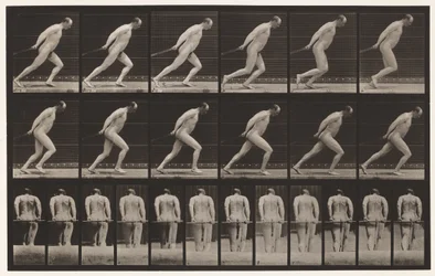 Planche 392. Traîner un rouleau de jardin, 1872-1885