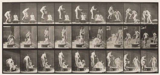 Planche 408. Deux modèles