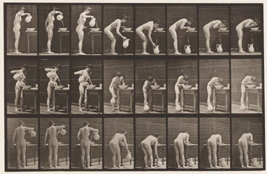 Planche 413. Verser de l