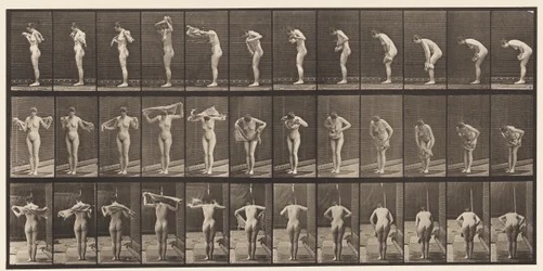 Planche 414. S