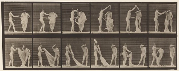 Plaque 427. Toilette; deux modèles
