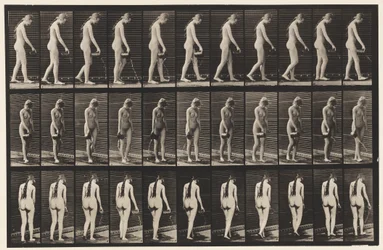 Planche 42. Marche, verser de l