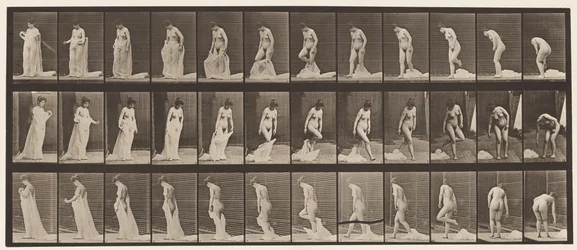 Planche 430. Toilette; Enlevant des vêtements, 1872-1885