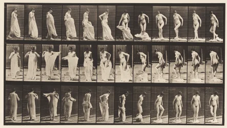 Plaque 431. Toilette; enlever des vêtements