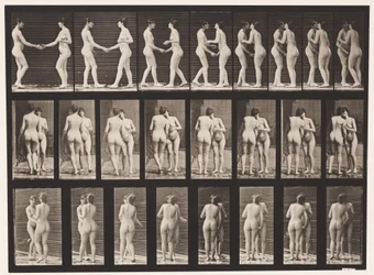 Planche 444. Deux modèles se serrant la main et s