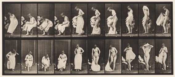 Planche 498. Phases diverses de la toilette, 1872-1885