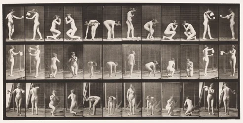 Plaque 501. Divers, se pencher, s