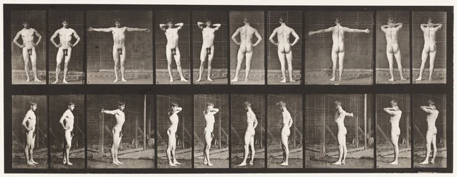 Planche 529. Diverses poses
