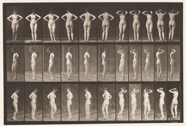 Plaque 531. Diverses poses
