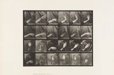 Mouvement de la main; Battre la mesure