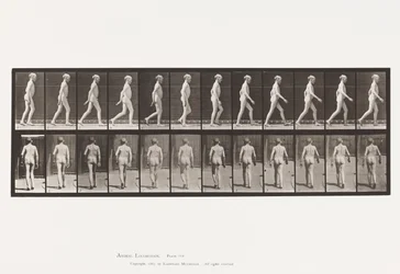 Planche 562. Courbure Latérale de la Colonne Vertébrale; Marche