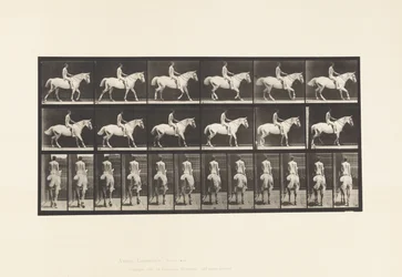 Planche 582. Marche; Selle; Cavalier, 43, Nu; Cheval Gris Clair Smith
