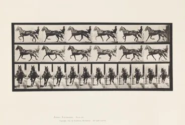 Planche 595. Balancer (Allure): Sulky; Cheval brun Pronto