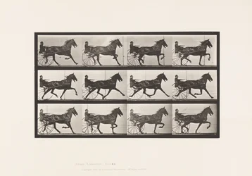Planche 606. Trot; Sulky; Cheval Bai, Reuben