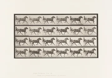 Planche 609. Trot; Sulky; Jument Bai, Lizzie M.
