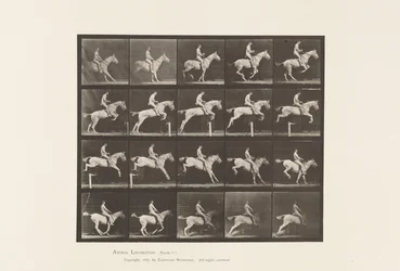 Planche 642. Sauter une haie; Selle; Cavalier, 105, Nu; Jument grise, 1885