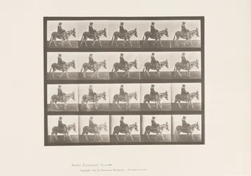 Planche 666. Âne ; Marchant ; Selle ; Une fille chevauchant, zoo