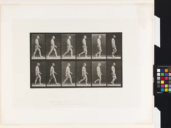 Planche 6. Marche