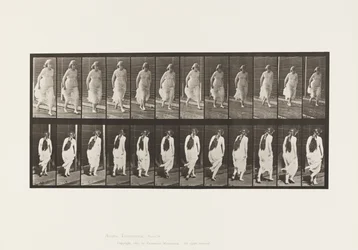 Planche 71. Course, 1885