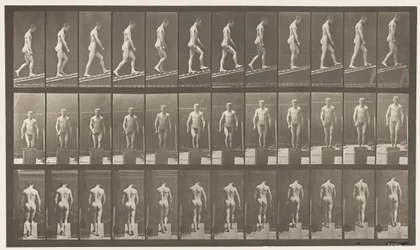 Planche 74. Montée inclinée, angle 1 sur 4