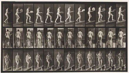 Planche 78. Montée d